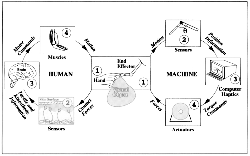 Interazione aptica tra utente e dispositivo.
